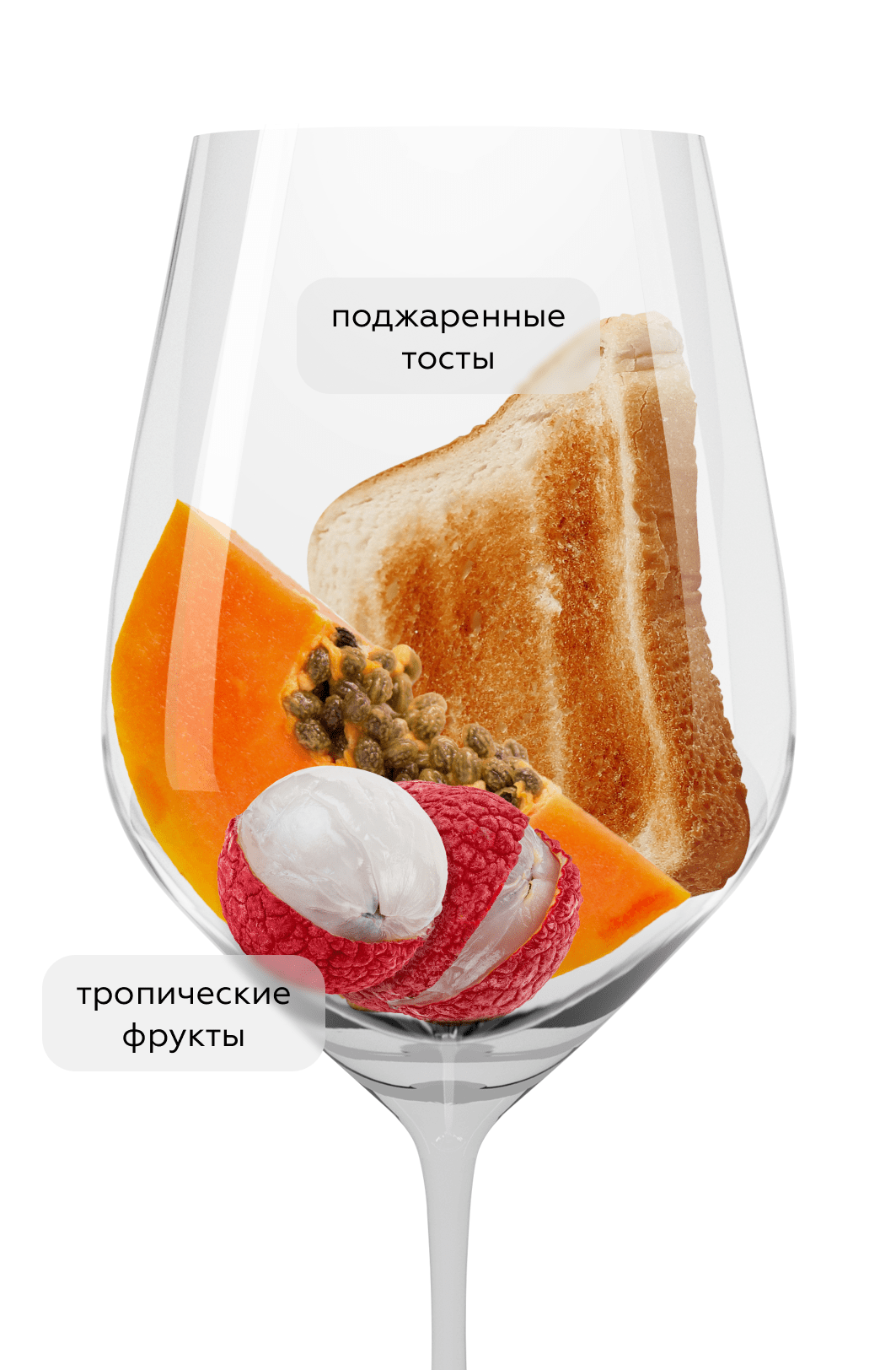 Игристое вино Alpaca Brut, Vina San Pedro, (152099), Чили, Центральная Долина, белое, брют, 0.75 л, Альпака Брют, цена 1218 рублей