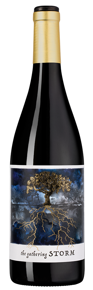 Вино Gathering Storm, Felix Solis, 2023, (148197), Испания, Кастилия Ла Манча, красное, полусухое, 0.75 л, Гезэринг Сторм, цена 1790 рублей