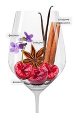Вино Sassoalloro, (141855), красное сухое, 2021 г., 0.75 л, Сассоаллоро цена 4990 рублей