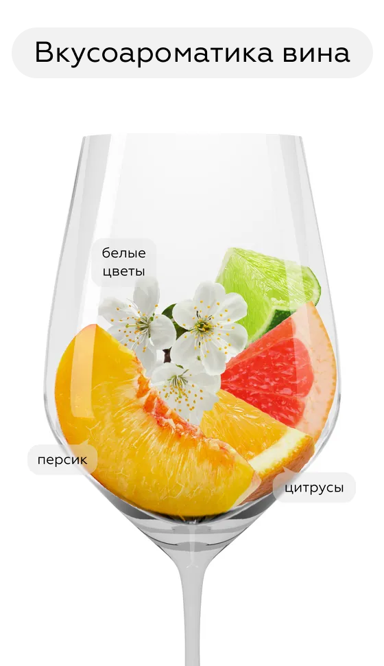 Вино Baluarte Muscat, Bodegas Chivite, 2023, (151813), Испания, Наварра, белое, полусухое, 0.75 л, Балуарте Мускат, цена 2290 рублей