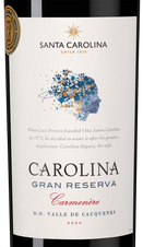 Вино Gran Reserva Carmenere, (145203), красное сухое, 2020 г., 0.75 л, Гран Ресерва Карменер цена 1990 рублей