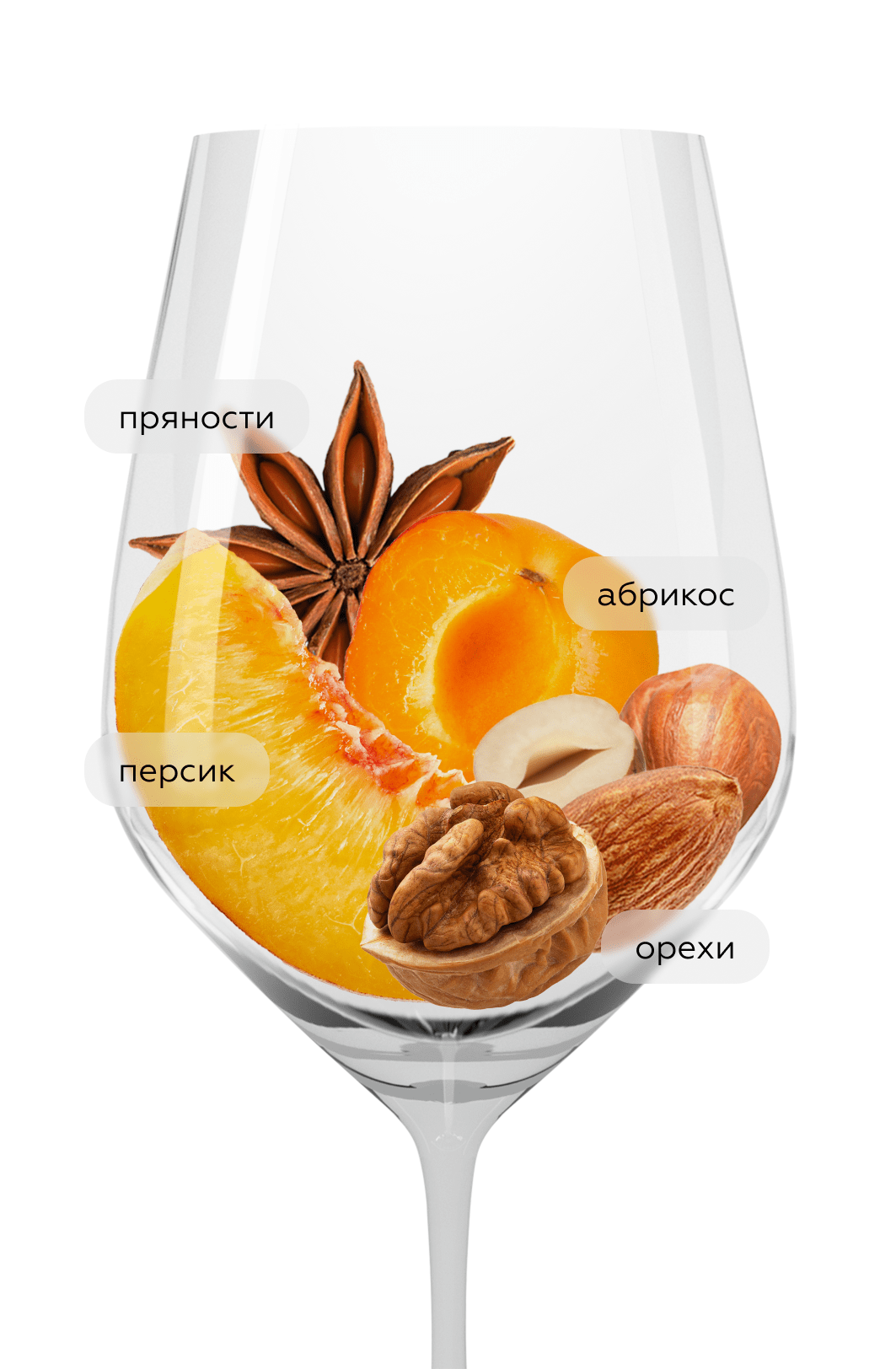 Вино Condrieu La Petite Cote, Yves Cuilleron, 2019, (126903), Франция, Долина Роны, белое, сухое, 0.75 л, Кондрие Ля Птит Кот, цена 14990 рублей