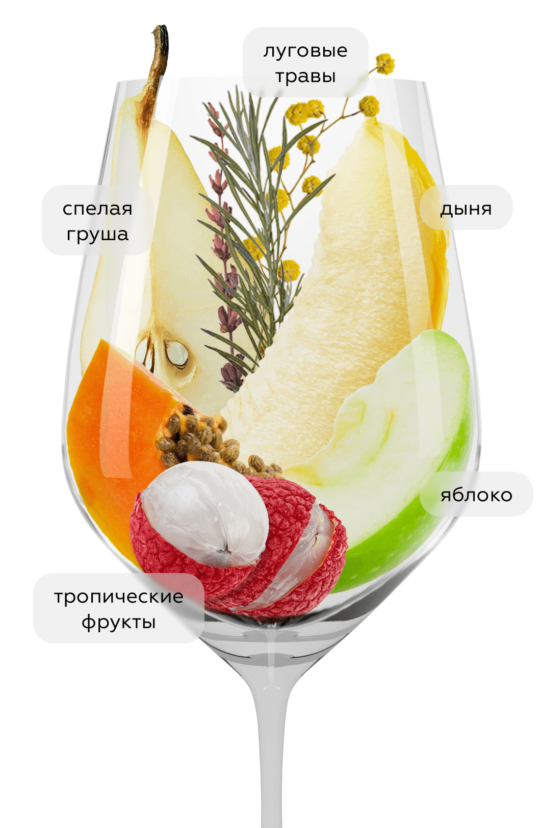 Вино Усадьба Мезыбь. Шардоне, 2023, (156221), Россия, Кубань, белое, сухое, 0.75 л, Усадьба Мезыбь. Шардоне, цена 2390 рублей