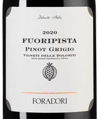 Вино из Трентино-Альто Адидже Fuoripista Pinot Grigio