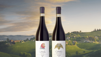 Статья-1200 (51).png