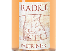 Lambrusco di Sorbara Radice