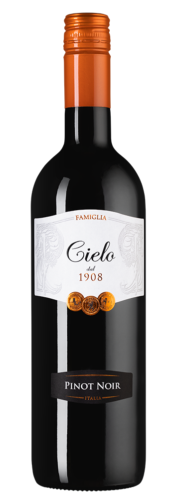 Вино Pinot Noir, Cielo, 2020, (130980), Италия, Венето, красное, полусухое, 0.75 л, Пино Нуар, цена 1690 рублей