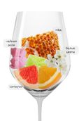Gran Feudo Moscatel