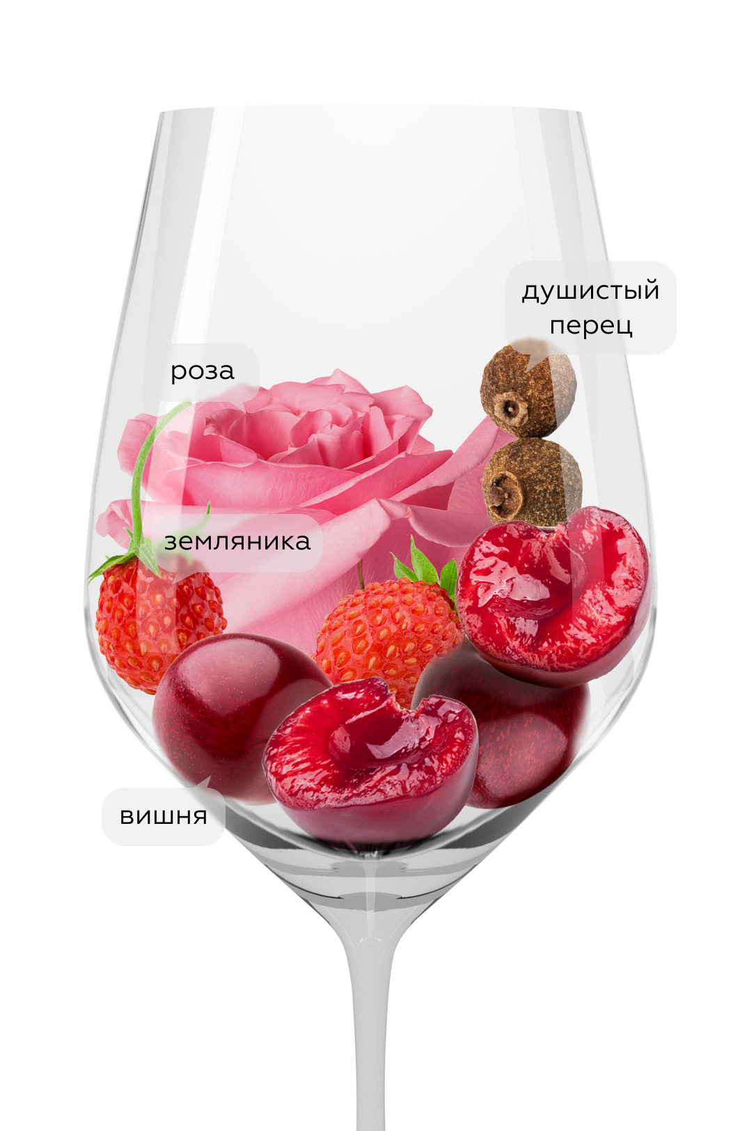 Вино Lumera, Donnafugata, 2023, (147990), Италия, Сицилия, розовое, сухое, 0.75 л, Люмера, цена 4140 рублей