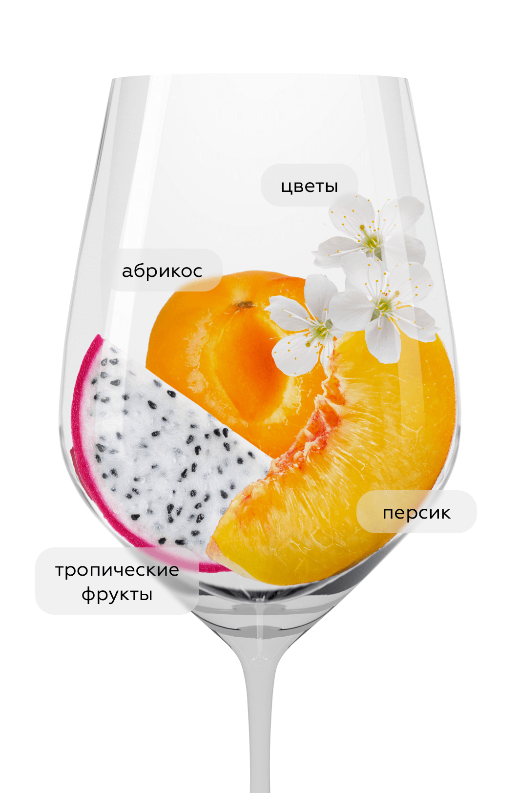 Вино Вионье, Усадьба Маркотх, 2022, (144862), Россия, Кубань, белое, сухое, 0.75 л, Вионье, цена 2890 рублей