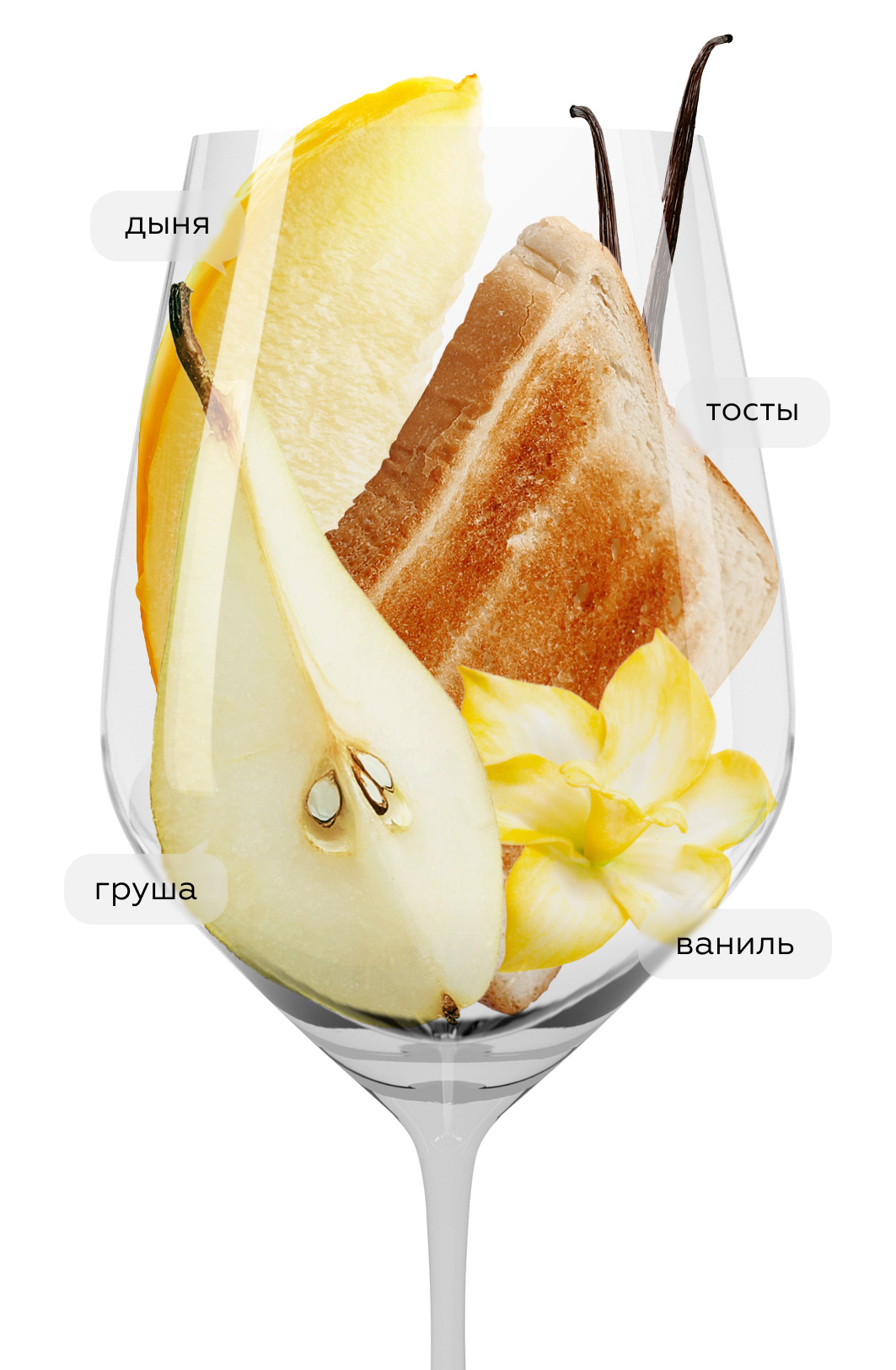 Вино Roero Arneis, Vietti, 2025, (159785), Италия, Пьемонт, белое, сухое, 0.75 л, Роэро Арнеис, цена 6490 рублей