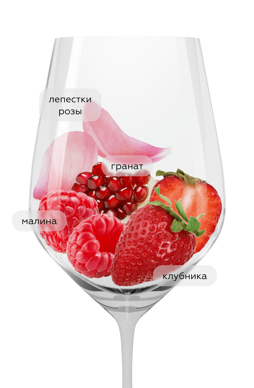 Вино Las Fincas Rosado, Bodegas Chivite, 2020, (130732), Испания, Наварра, розовое, сухое, 0.75 л, Лас Финкас Росадо, цена 3990 рублей
