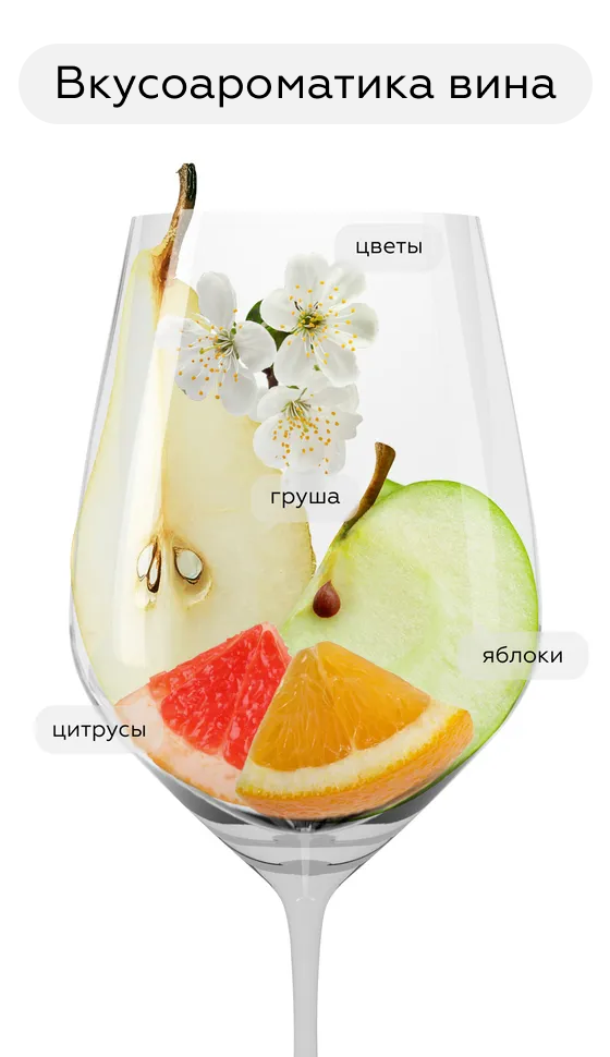 Игристое вино Bruni Prosecco Extra Dry в подарочной упаковке, (152453), Италия, Венето, белое, брют, 0.75 л, Просекко Экстра Драй, цена 2640 рублей