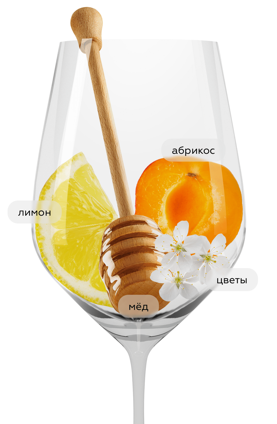 Вино Tokaj Late Harvest, Oremus, 2021, 0.5л, (146573), Венгрия, Токай, белое, сладкое, 0.5 л, Токай Лейт Харвест, цена 5943 рублей