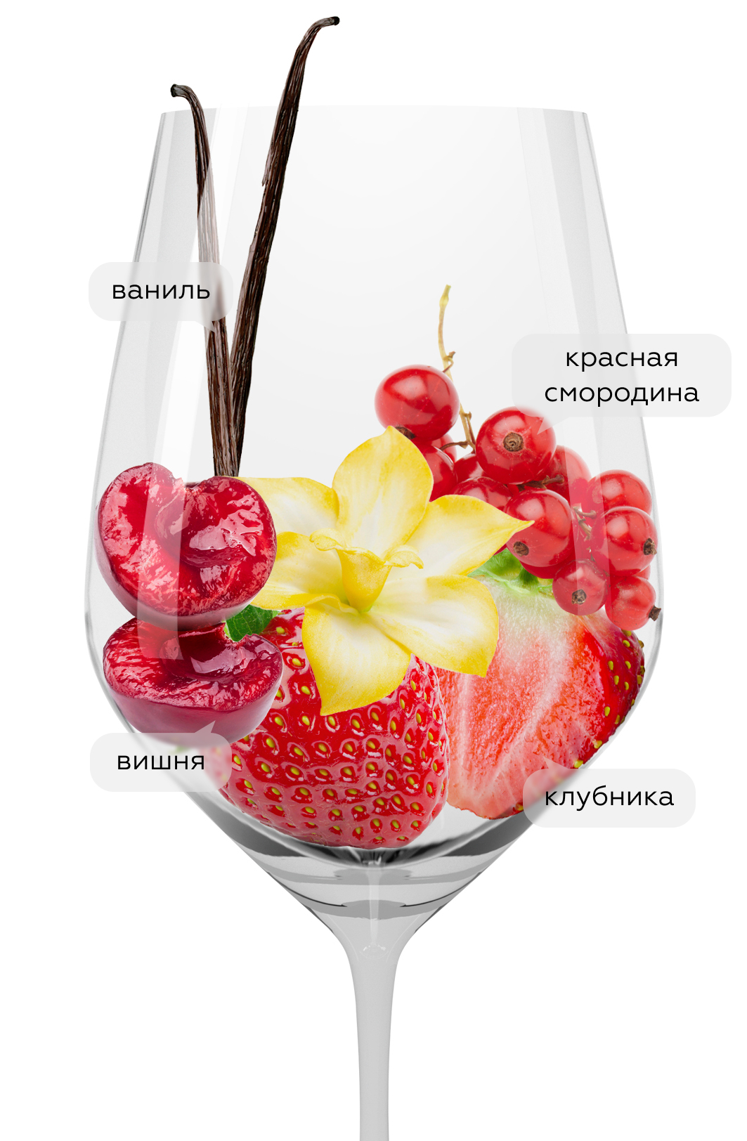 Вино Pinot Nero (Blauburgunder), Colterenzio, 2021, (137607), Италия, Трентино-Альто Адидже, красное, сухое, 0.75 л, Пино Неро (Блаубургундер), цена 4490 рублей