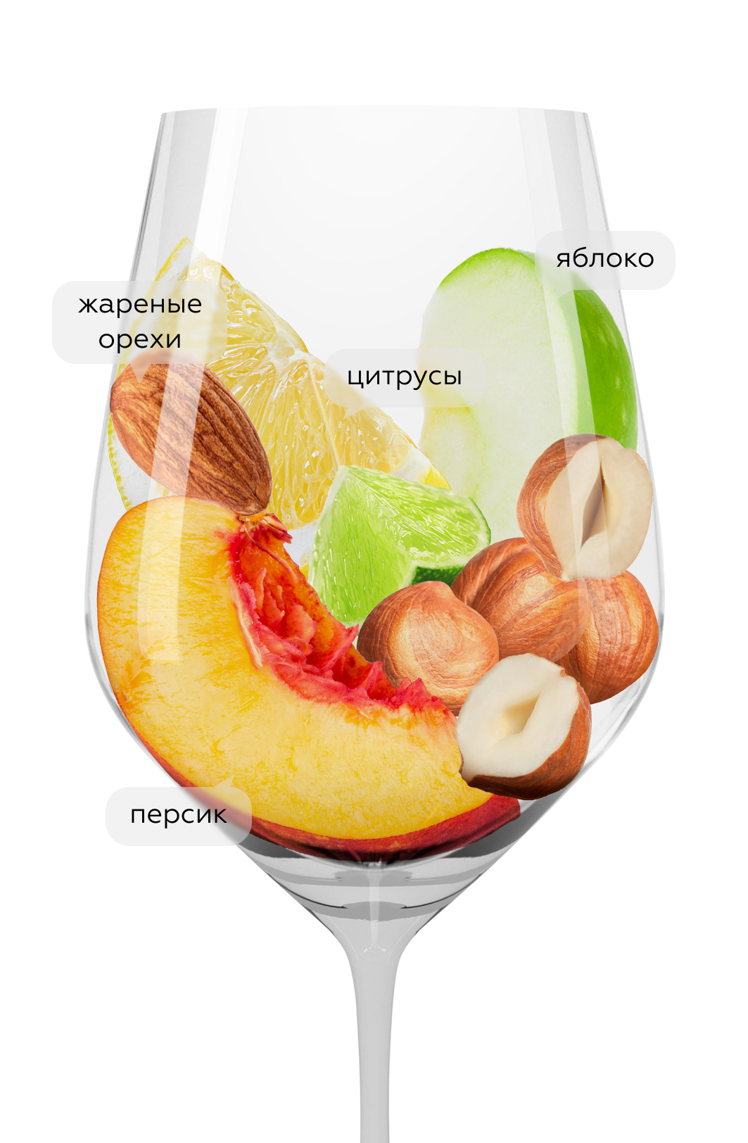 Вино Gavi dei Gavi (Etichetta Nera), La Scolca, 2024, 0.375л, (155289), Италия, Пьемонт, белое, сухое, 0.375 л, Гави дей Гави (Черная Этикетка), цена 3640 рублей