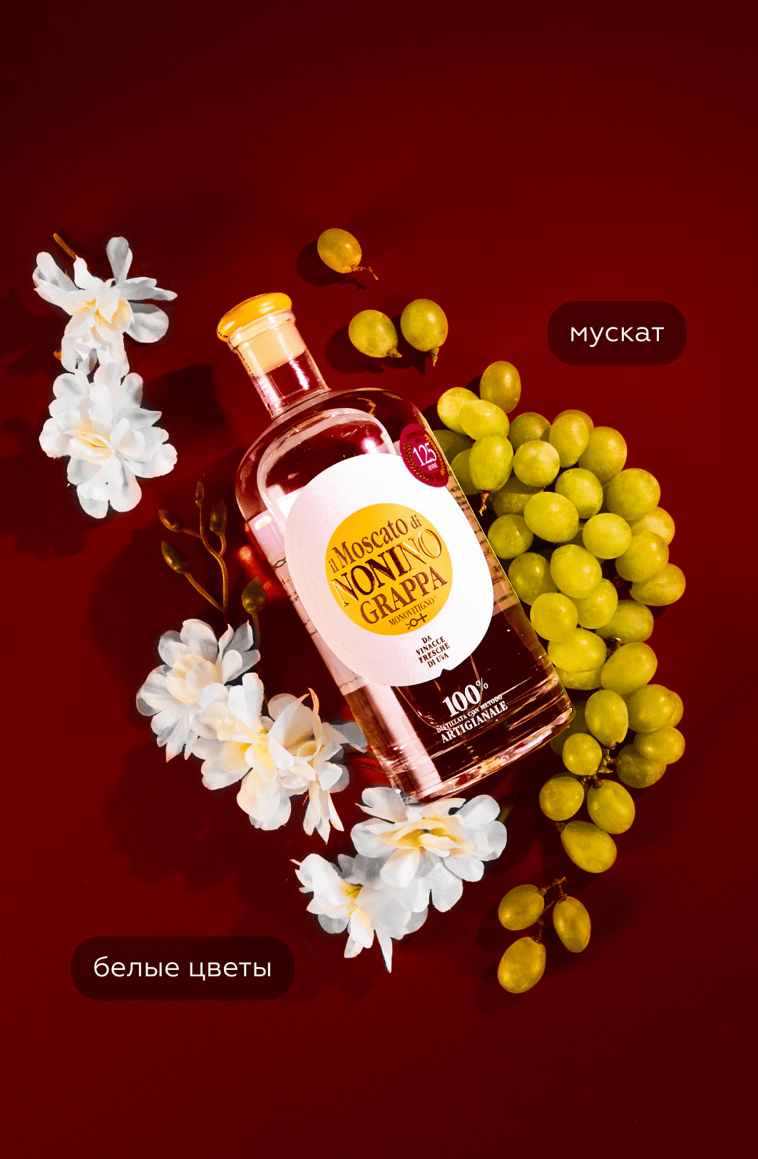 Граппа Il Moscato di Nonino в подарочной упаковке, (131480), Италия, Фриули-Венеция-Джулия, 0.7 л, Иль Москато ди Нонино, цена 8790 рублей