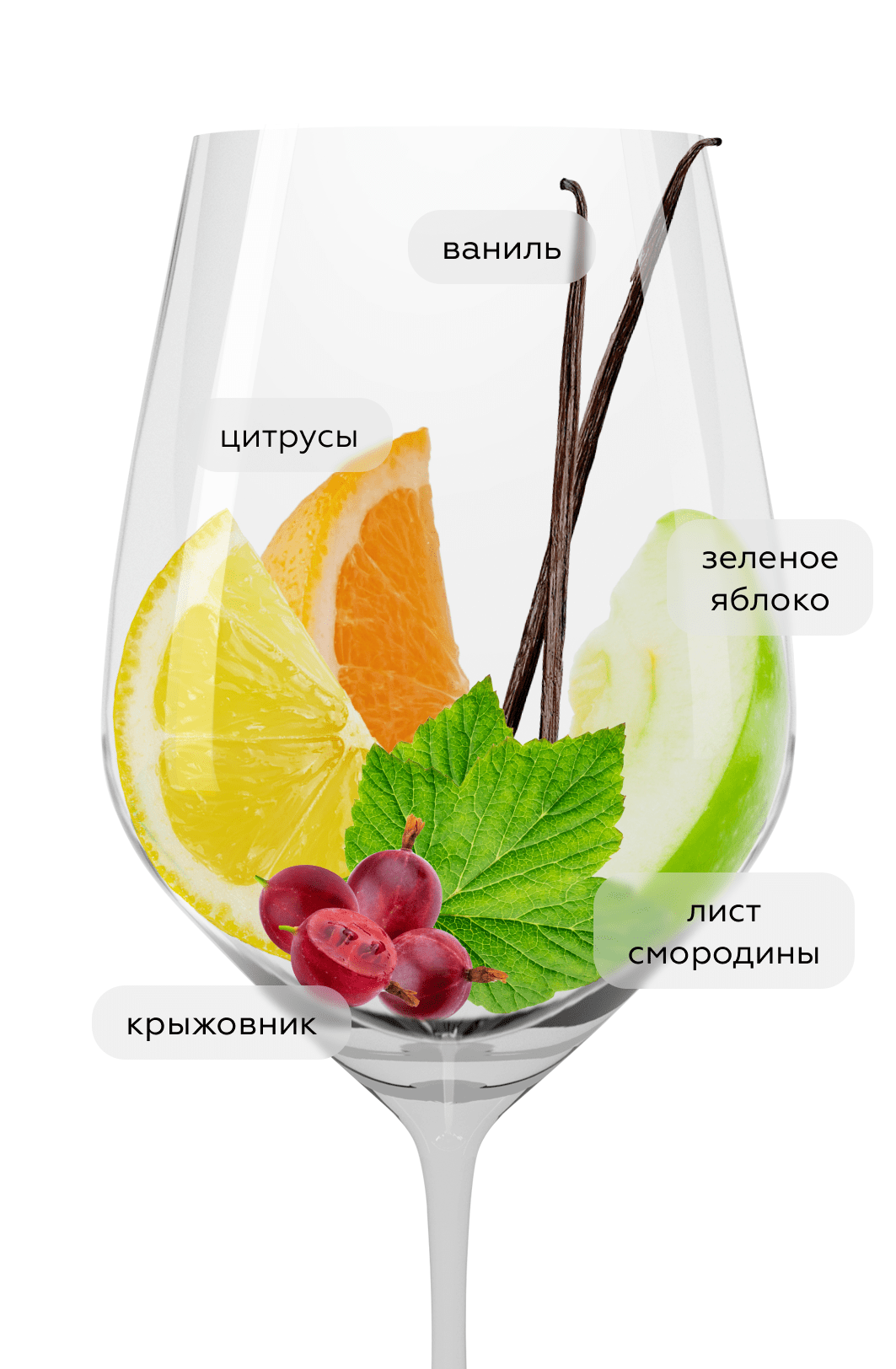 Вино Совиньон Блан, Лефкадия, 2023, (153663), Россия, Кубань, белое, сухое, 0.75 л, Совиньон Блан, цена 1990 рублей