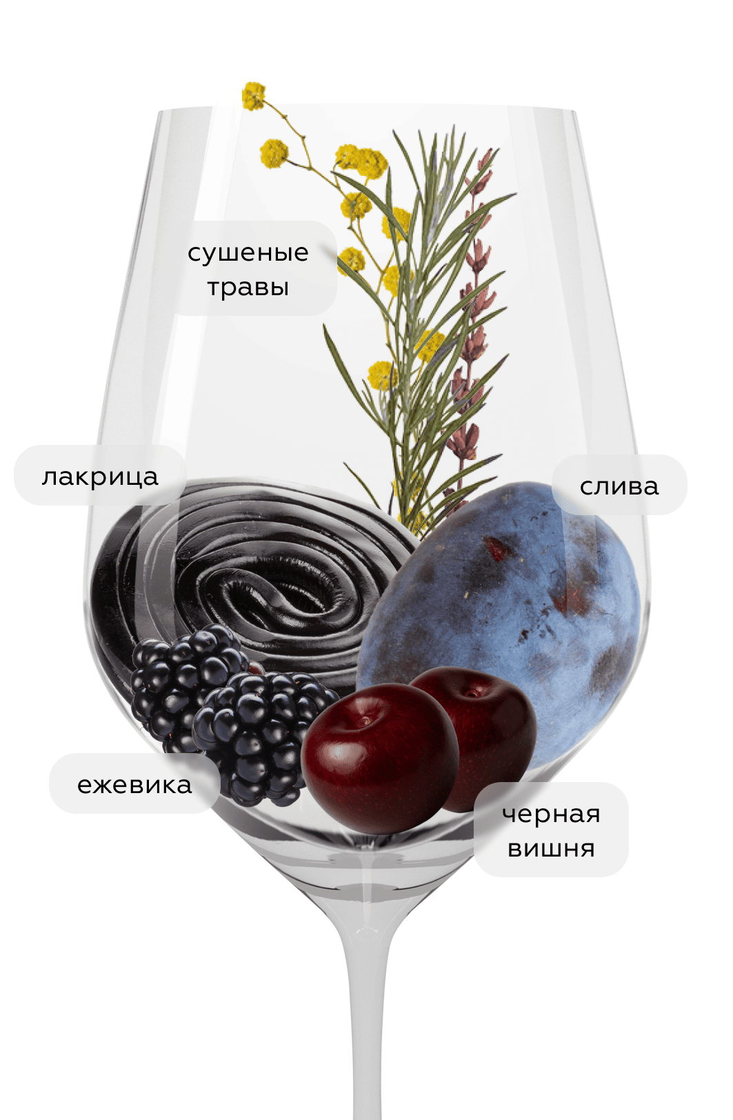 Вино Syrah Merindol, Simonsig, 2019, (141082), Южная Африка, Стелленбош, красное, сухое, 0.75 л, Сира Мериндол, цена 4543 рублей