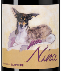 Вино Pinot Noir Nina, (145456), красное сухое, 2021 г., 0.75 л, Пино Нуар Нина цена 4140 рублей
