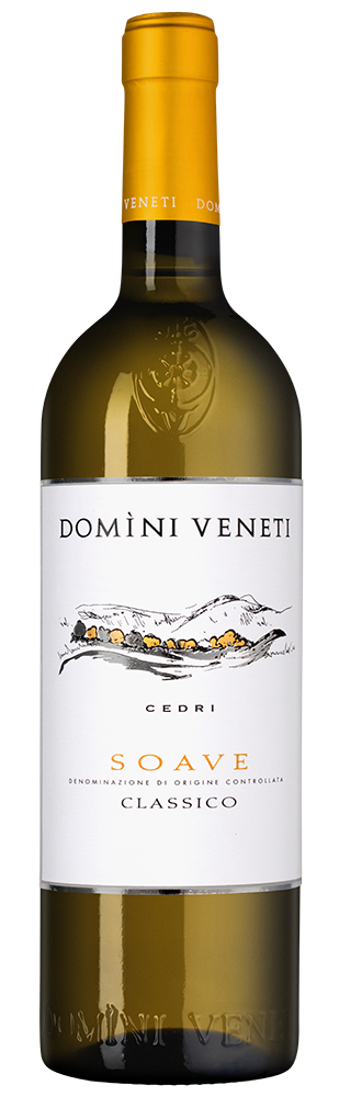 Вино Soave Classico, Domini Veneti, 2024, (153964), Италия, Венето, белое, полусухое, 0.75 л, Соаве Классико, цена 2990 рублей