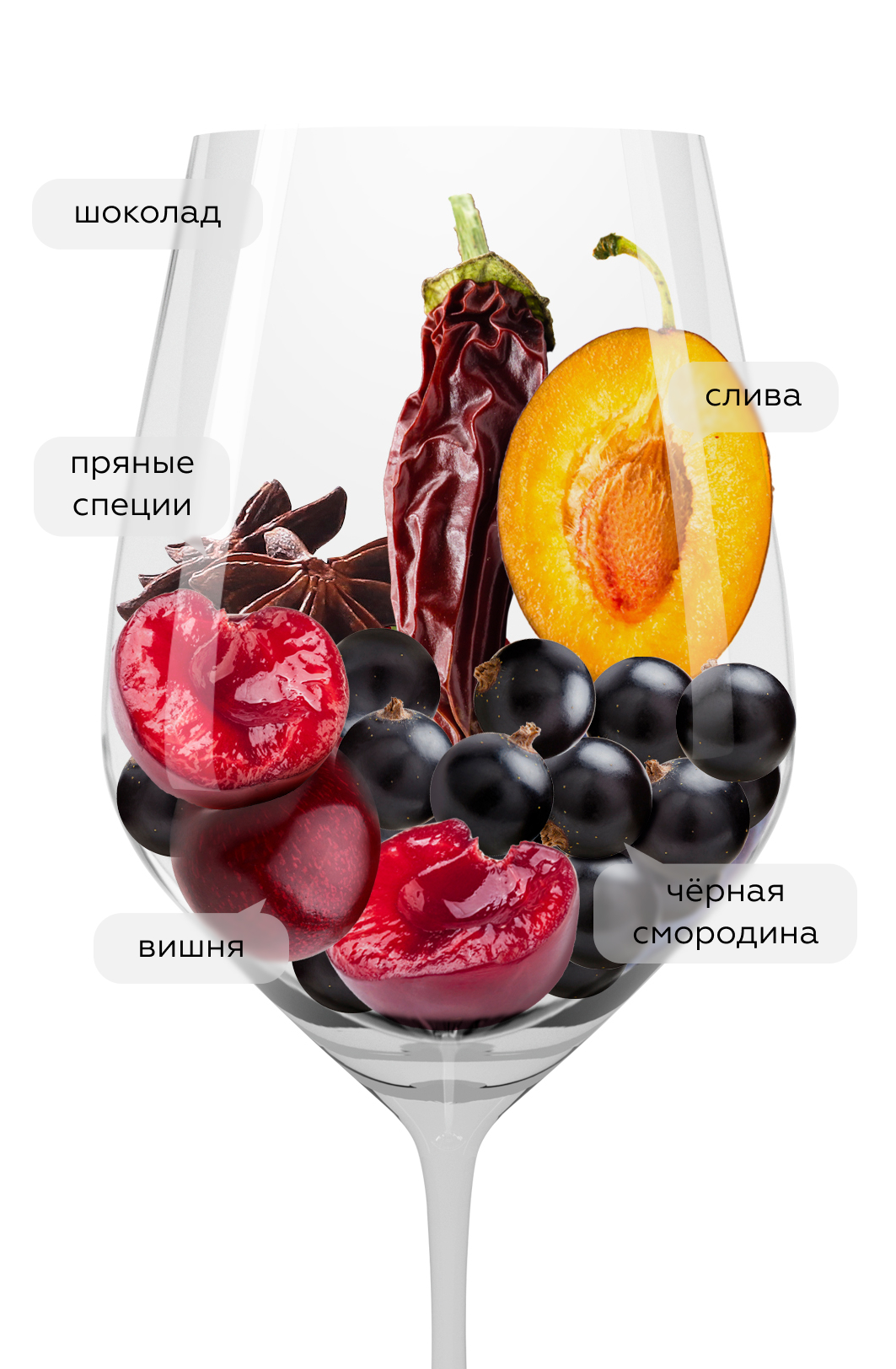 Вино Valpolicella, Bertani, 2024, (154414), Италия, Венето, красное, сухое, 0.75 л, Вальполичелла, цена 2443 рублей