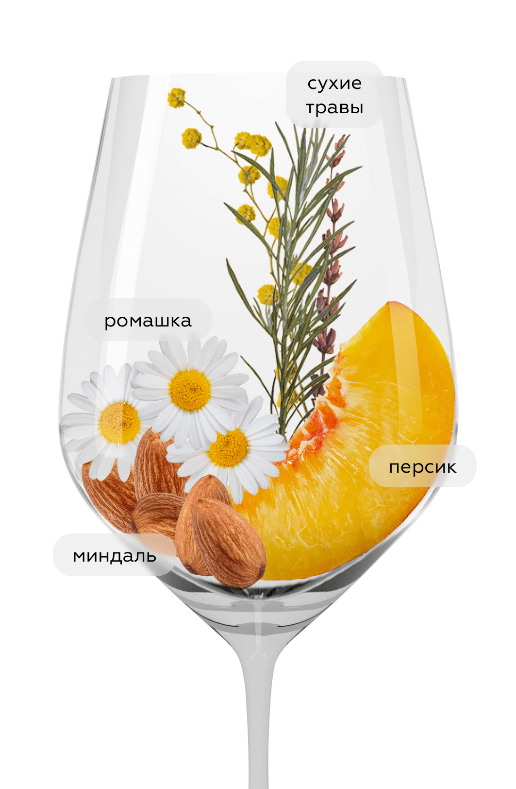 Вино Chenin Blanc, Spice Route, 2023, (146550), Южная Африка, Свортленд, белое, сухое, 0.75 л, Шенен Блан, цена 3190 рублей