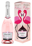 Canti Rose Canti Rose