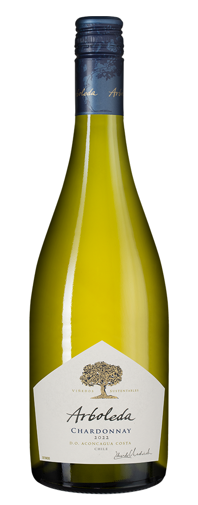 Вино Chardonnay, Vina Arboleda, 2022, (146456), Чили, Аконкагуа, белое, сухое, 0.75 л, Шардоне, цена 4490 рублей