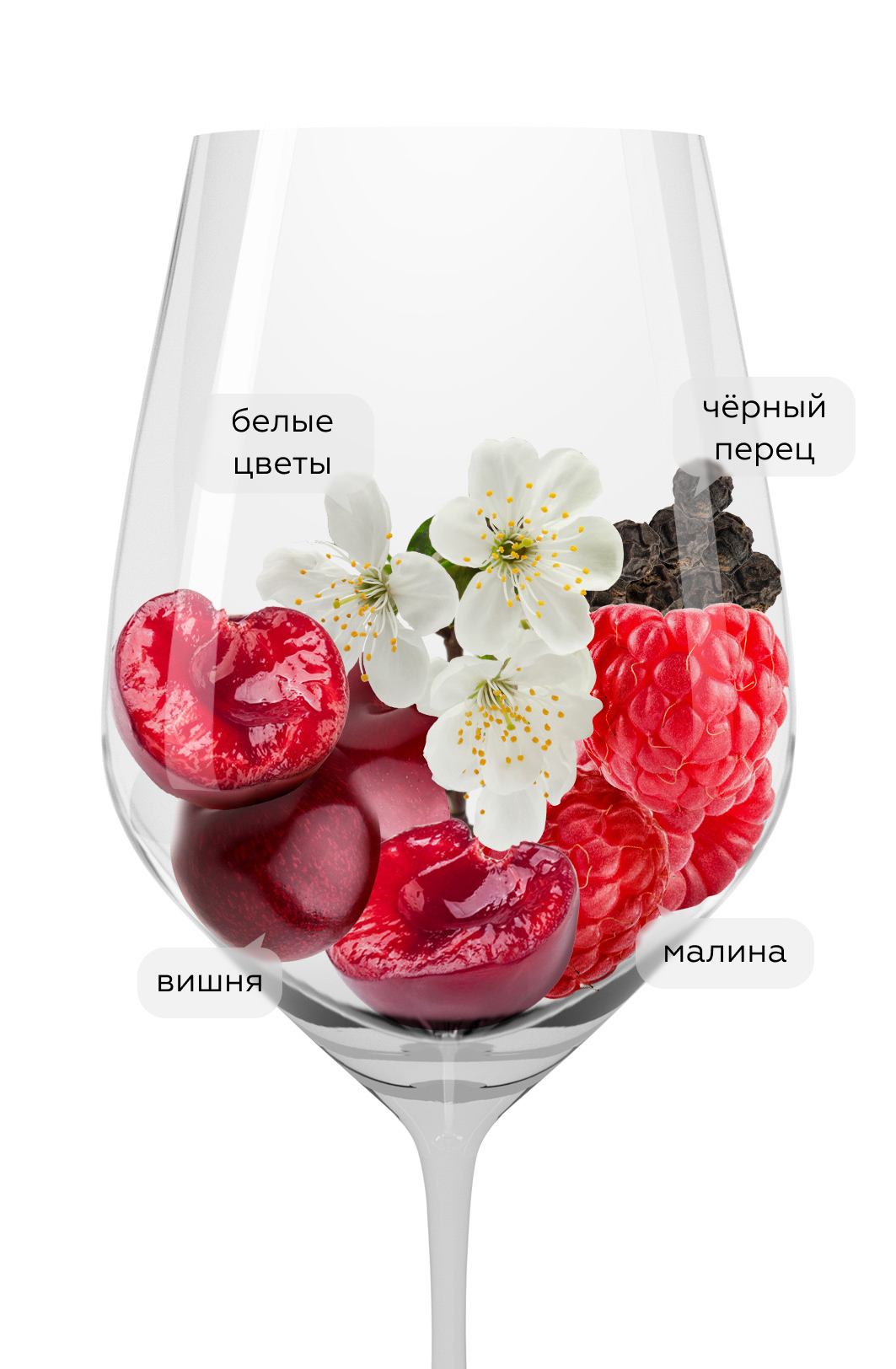 Вино Bardolino Classico Ca' Bordenis, Santi, 2022, (143390), Италия, Венето, красное, сухое, 0.75 л, Бардолино Классико Ка' Борденис, цена 2490 рублей