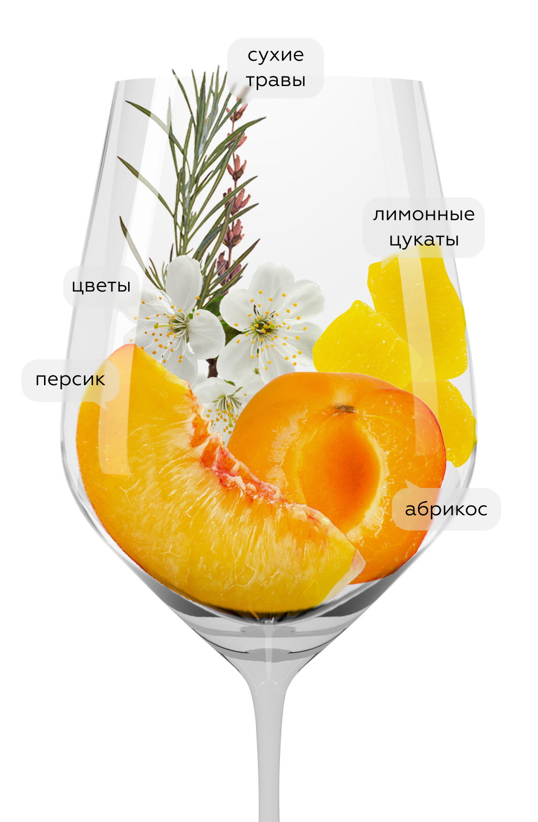 Вино Gavi Villa Sparina, 2021, 0.375л, (137158), Италия, Пьемонт, белое, сухое, 0.375 л, Гави Вилла Спарина, цена 3490 рублей