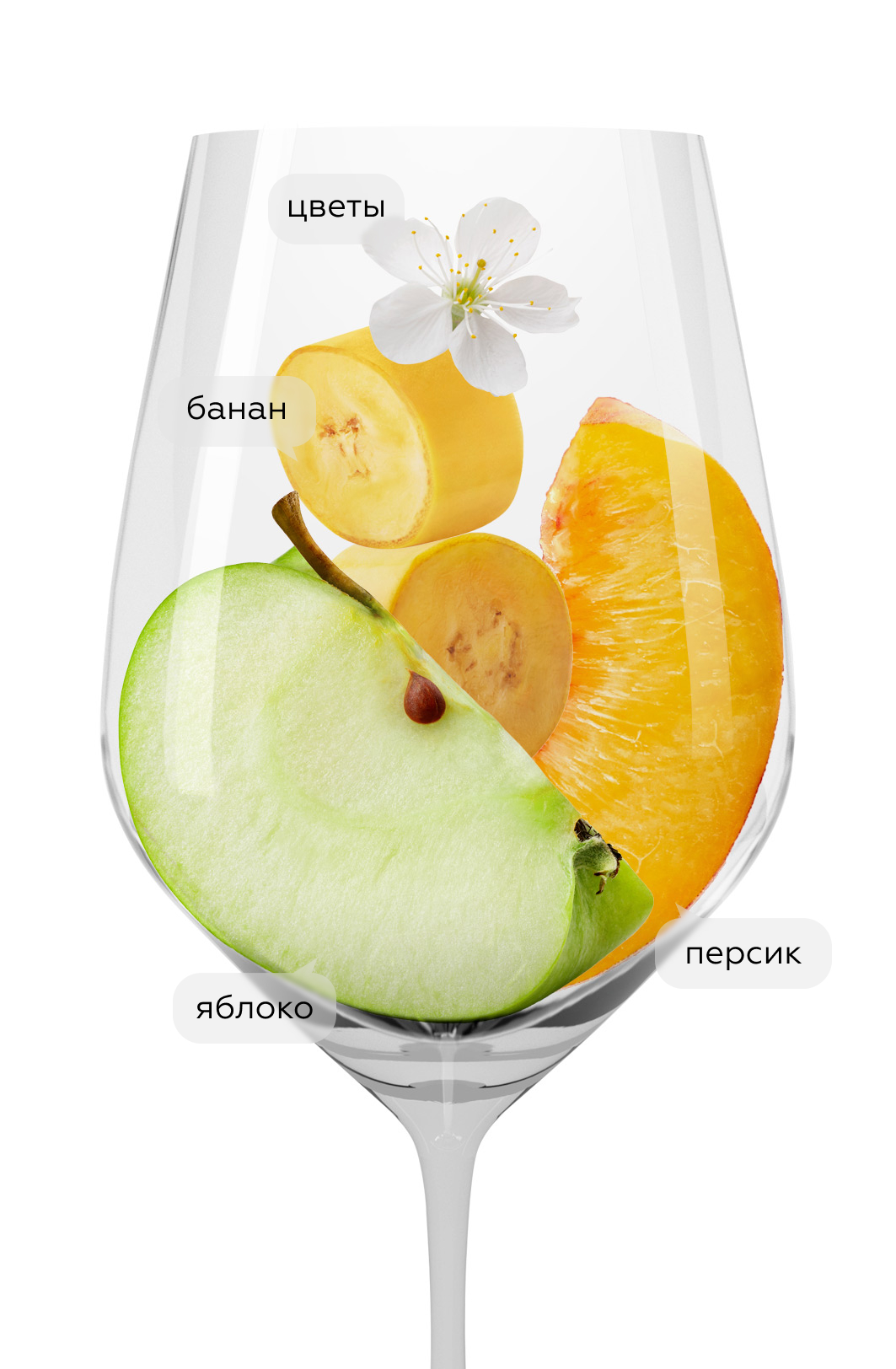 Вино Riesling 390eme Anniversaire, Trimbach, 2016, (133115), Франция, Эльзас, белое, сухое, 0.75 л, Рислинг Труасон Катрован Дизьем Аниверсер, цена 7990 рублей