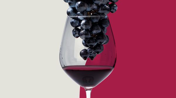 Сира (шираз): гид для новичков