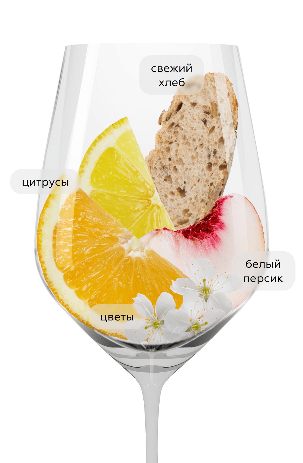 Игристое вино Santa Carolina Brut, (154469), Чили, Центральная Долина, белое, брют, 0.75 л, Санта Каролина Брют, цена 1164 рублей