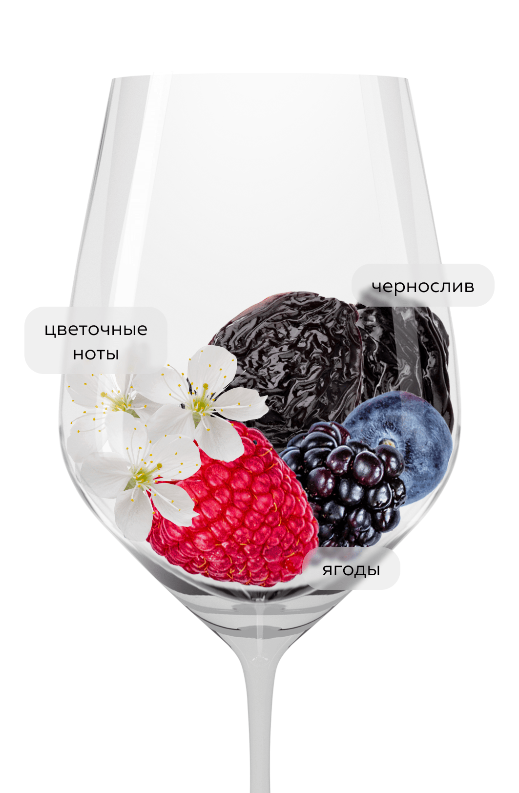 Вино Chianti, Melini, 2023, (153005), Италия, Тоскана, красное, сухое, 0.75 л, Кьянти, цена 2140 рублей