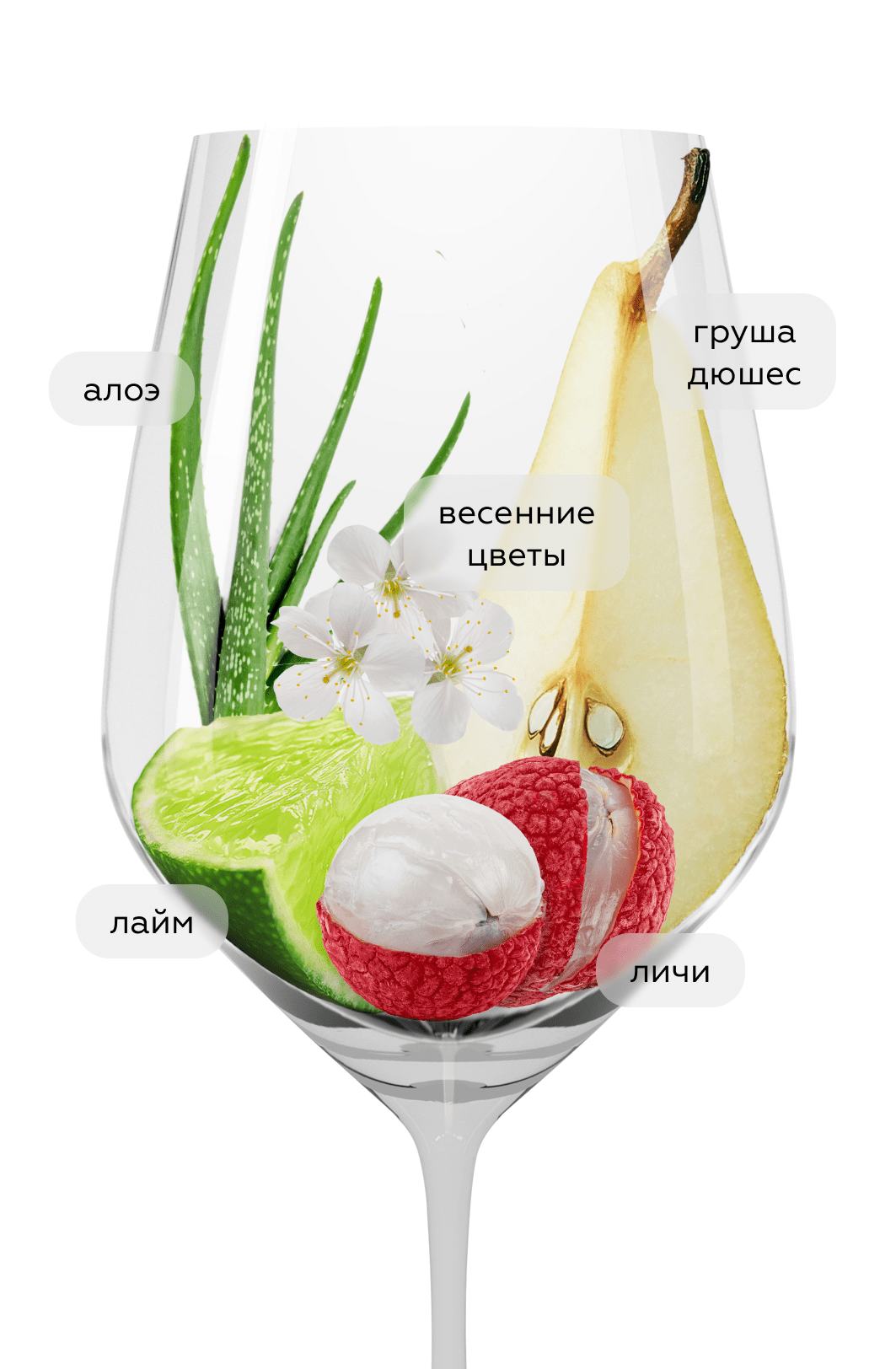 Вино Renome Рислинг/Совиньон Блан, Скалистый Берег, 2023, (153996), Россия, Кубань, белое, сухое, 0.75 л, Реноме Рислинг/Совиньон Блан, цена 1290 рублей