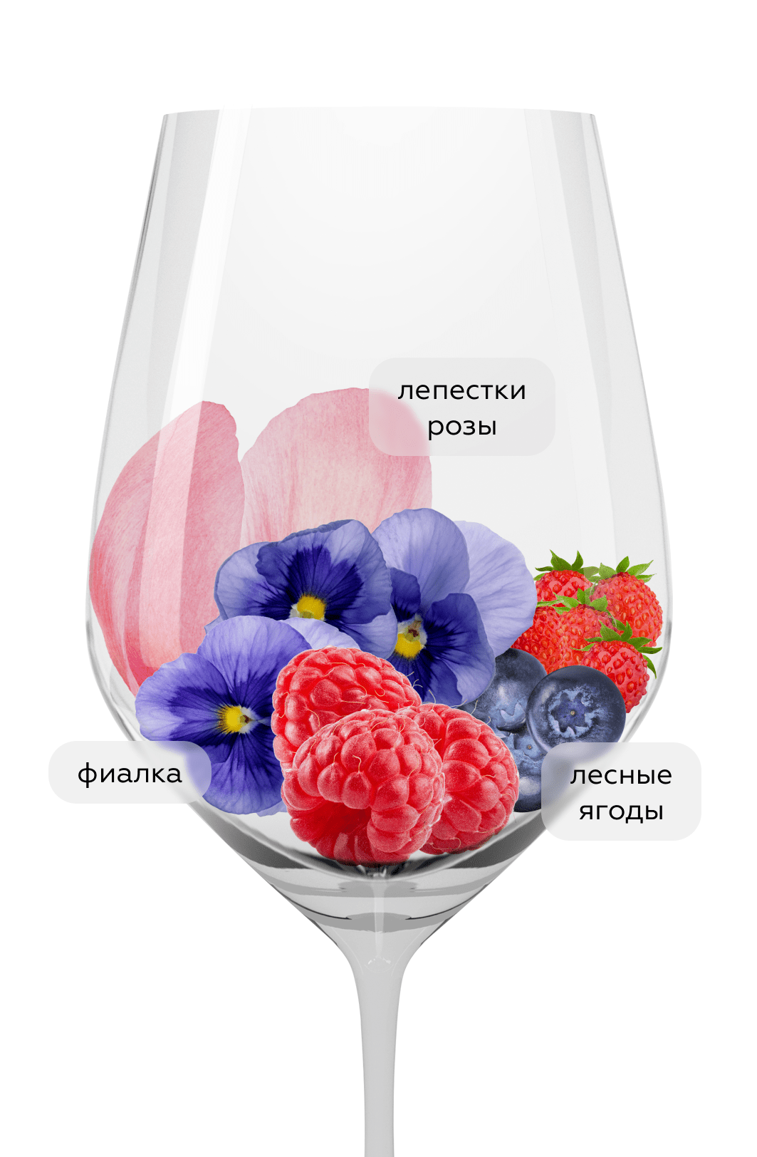 Вино Lezer, Foradori, 2021, (137270), Италия, Трентино-Альто Адидже, красное, сухое, 0.75 л, Ледзер, цена 5790 рублей