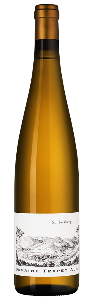 Вино Alsace Riesling Grand Cru Schlossberg, Domaine Trapet Pere et Fils, 2019, (147736), Франция, Эльзас, белое, сухое, 0.75 л, Рислинг Эльзас Гран Крю Шлоссберг, цена 23490 рублей