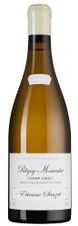 Вино Puligny-Montrachet Premier Cru Champ Canet, (133359), белое сухое, 2019 г., 0.75 л, Пюлиньи-Монраше Премье Крю Шам Кане цена 31990 рублей