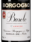 Вино Barolo Cannubi