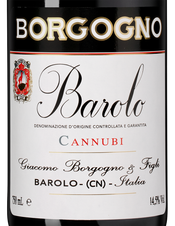 Вино Barolo Cannubi, (150417), красное сухое, 2019, 0.75 л, Бароло Каннуби цена 44990 рублей