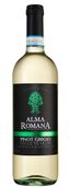 Белое вино региона Венето Alma Romana Pinot Grigio