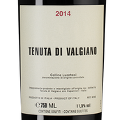 Красное сухое вино Сира Tenuta di Valgiano