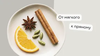 Статья-1200.png