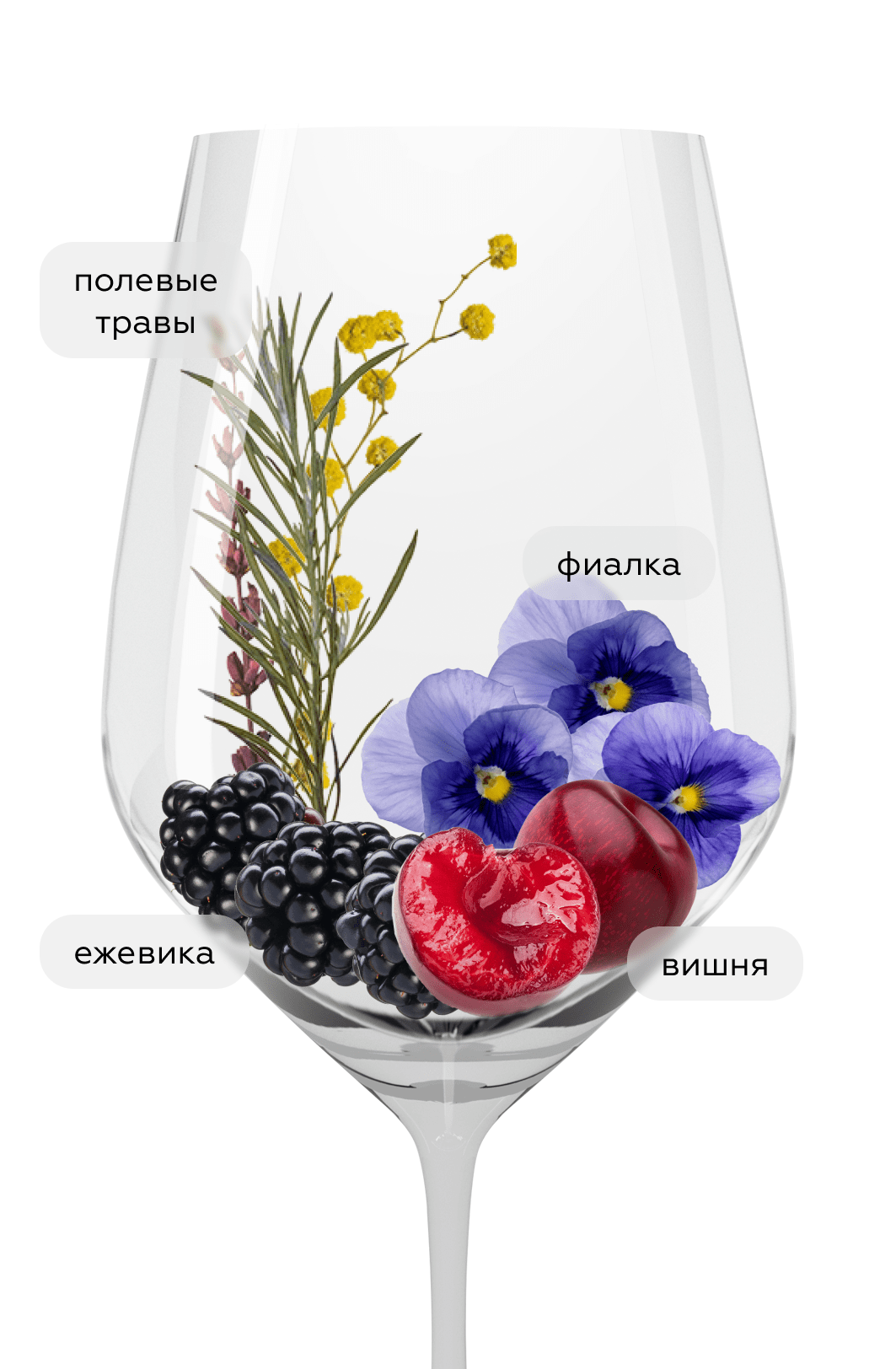 Вино Turlo, Tenuta di Salviano, 2020, (137996), Италия, Умбрия, красное, сухое, 0.75 л, Турло, цена 2990 рублей