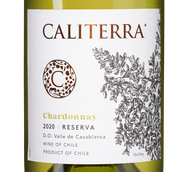 Вино с цитрусовым вкусом Chardonnay Reserva