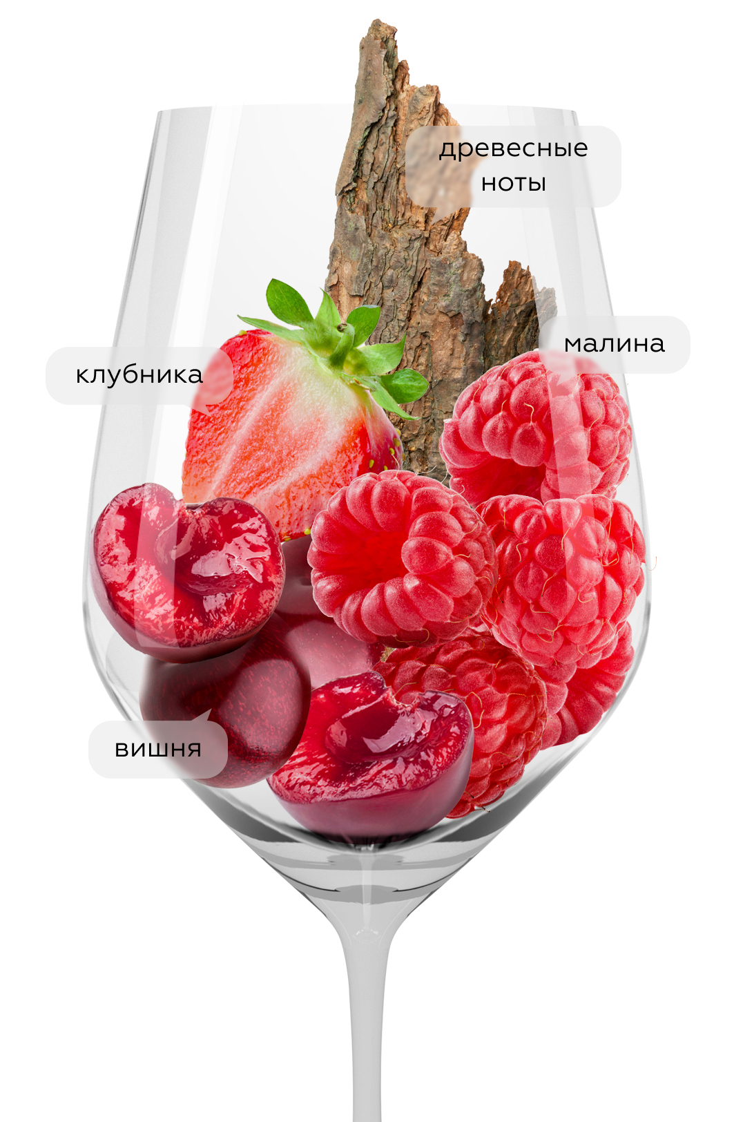 Вино Barrica Art Collection, Gurpegui, 2021, (137295), Испания, Эстремадура, красное, сухое, 0.75 л, Баррика Арт Коллекшн, цена 1490 рублей