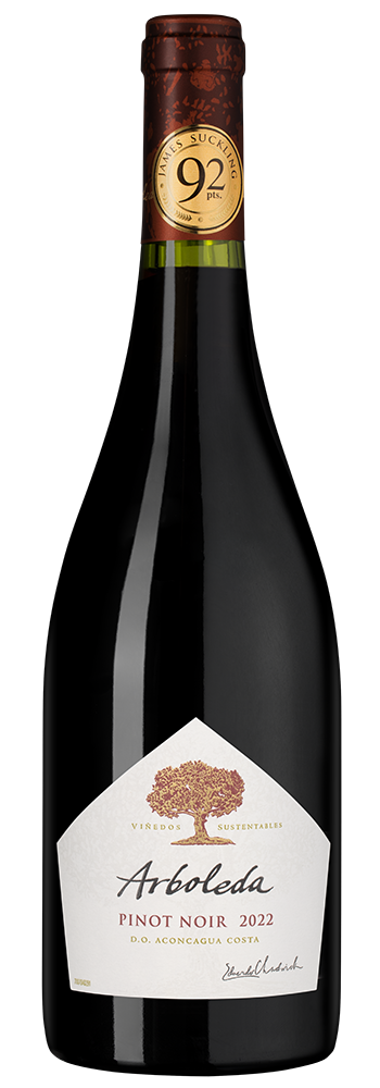 Вино Pinot Noir, Vina Arboleda, 2022, (147088), Чили, Аконкагуа, красное, сухое, 0.75 л, Пино Нуар, цена 5490 рублей
