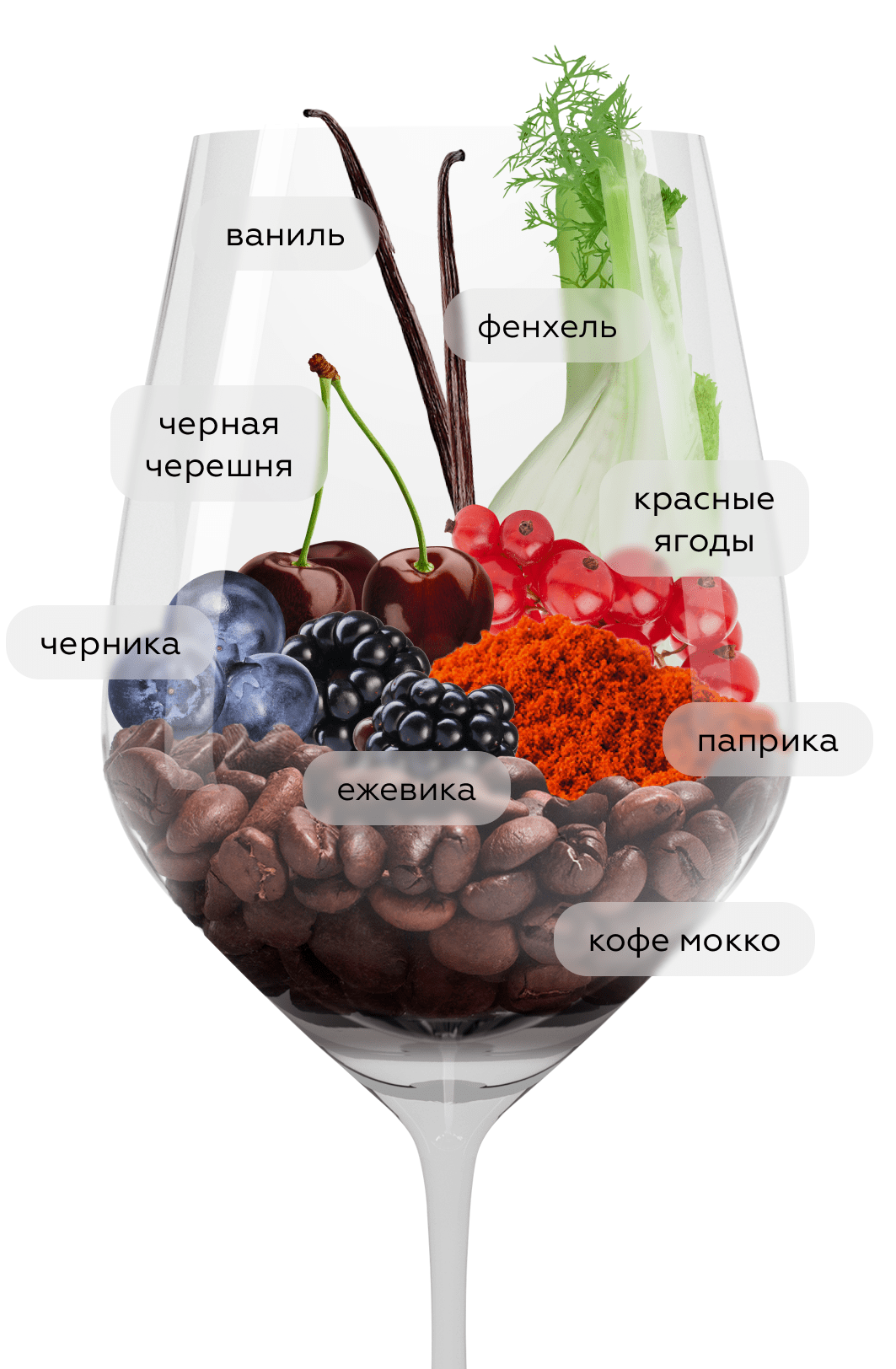 Вино Петрикор Пробус, Шумринка, 2018, (149704), Россия, Кубань, красное, сухое, 0.75 л, Петрикор Пробус, цена 2490 рублей