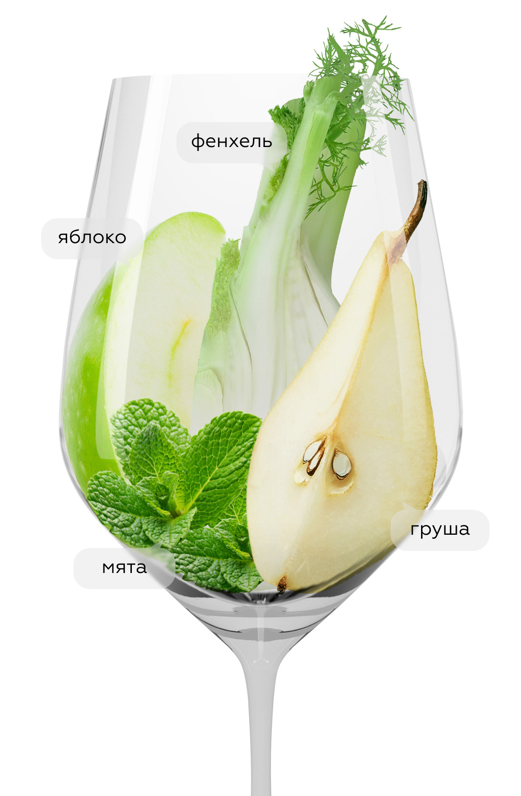 Вино The Boy Riesling, Two Hands, 2023, (144766), Австралия, Южная Австралия, белое, сухое, 0.75 л, Зе Бой Рислинг, цена 5990 рублей